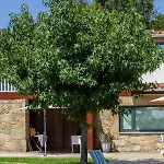 Casa Tarrio - Casa Privada Com 3 Quartos E Piscina Braga