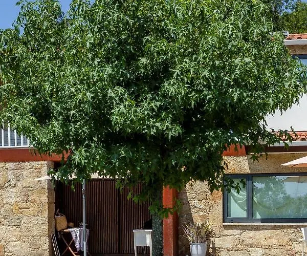 Casa Tarrio - Casa Privada Com 3 Quartos E Piscina Braga